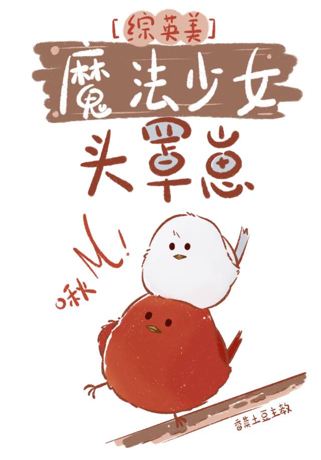 [综英美]魔法少女头罩崽