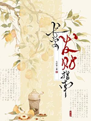 长安发财指南（美食）